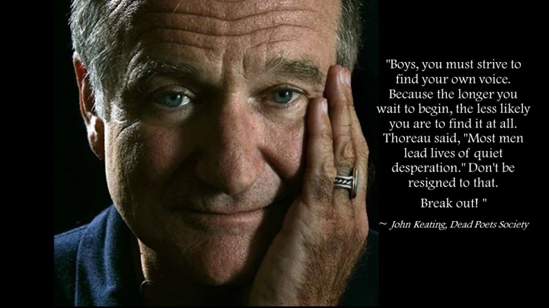 Robin Williams quote