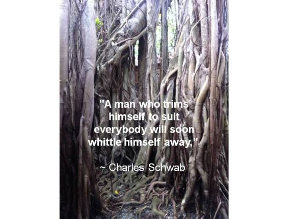 Charles Schwab thought